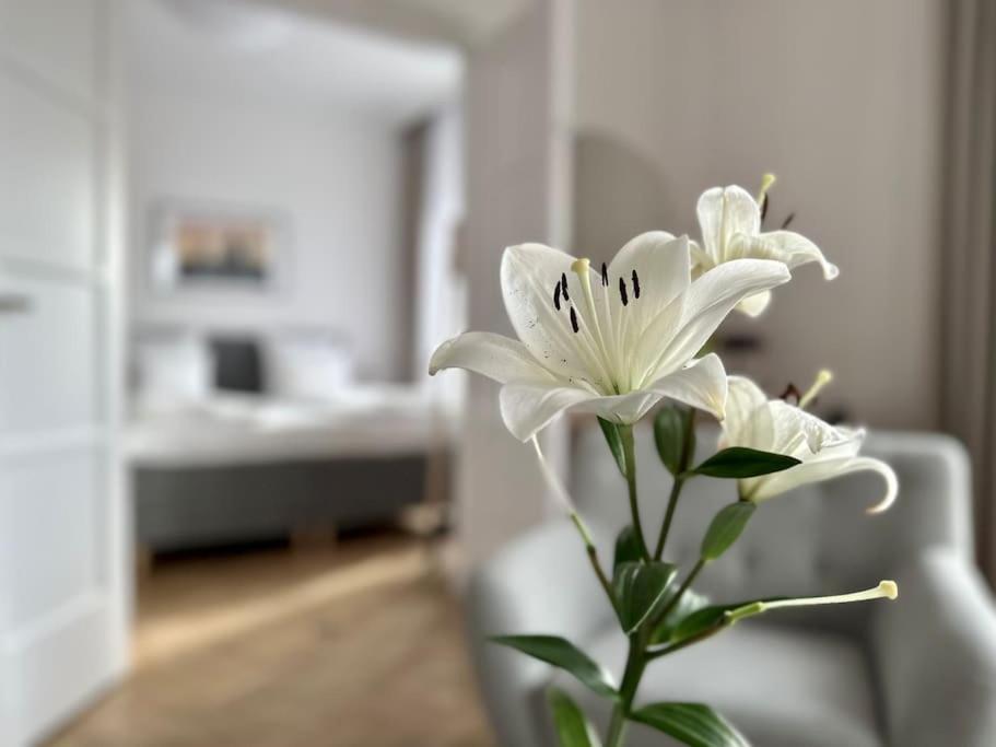Premium By Hi - 2 Bedroom - View Apartman Budapest